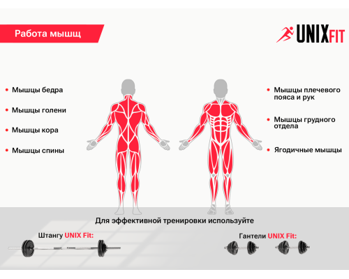 Скамья силовая со стойками UNIX FIT BENCH 120